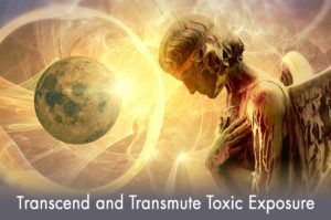 Transend, Transmute, and Transform Toxic Exposure @ Online Zoom Webinar
