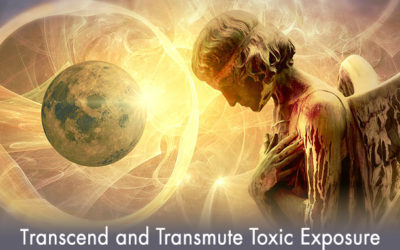 Team Hosts Transend Toxic Exposure Webinar