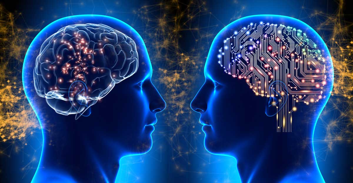 Neuro-Linguistic Programming: The Language of Transformation